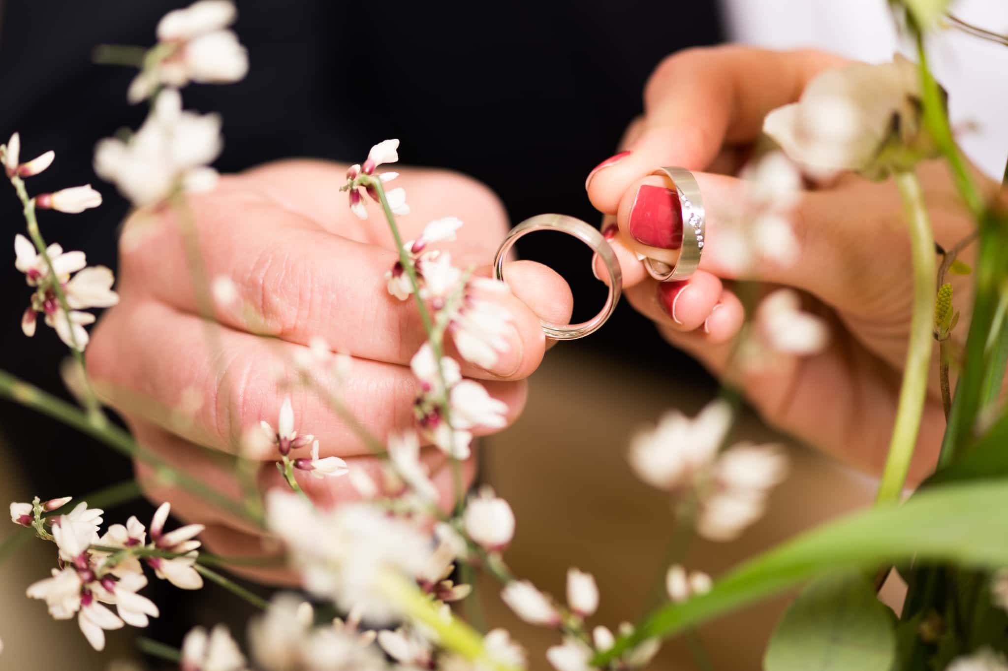 recherche_alliances_lediamant.ch